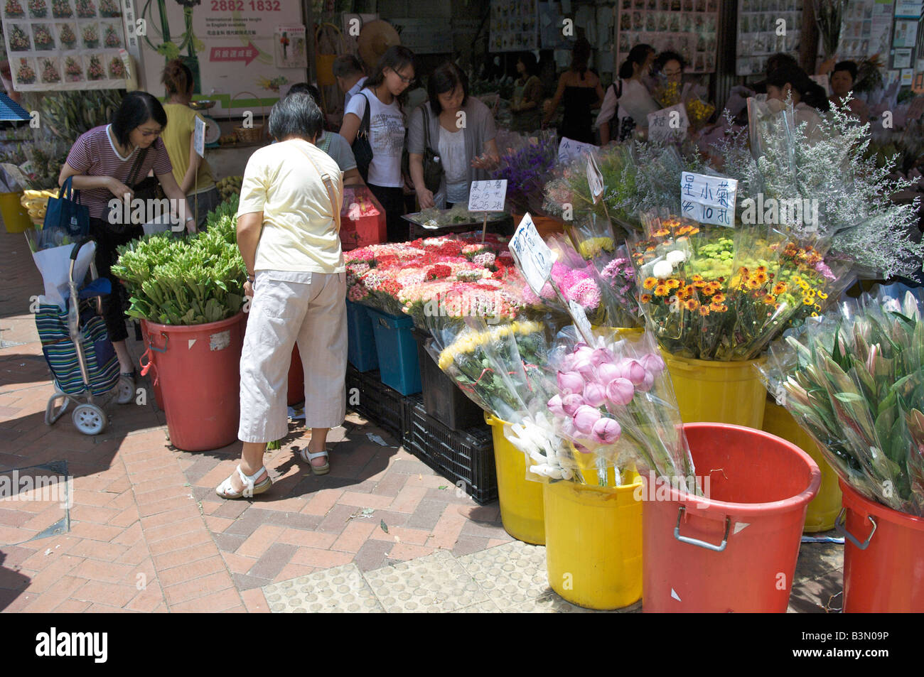 Flower Market Mong Kok Mongkok in Hongkong August 2008 Stockfoto