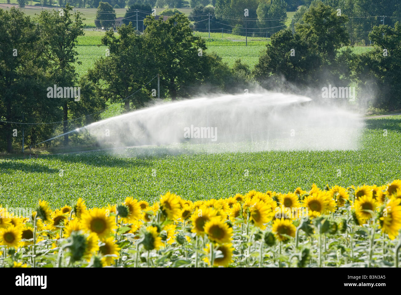 Bewässerungssystem Bewässerung Mais-Ernte im Sommer in das Lot-Tal-Aquitaine-Frankreich Stockfoto