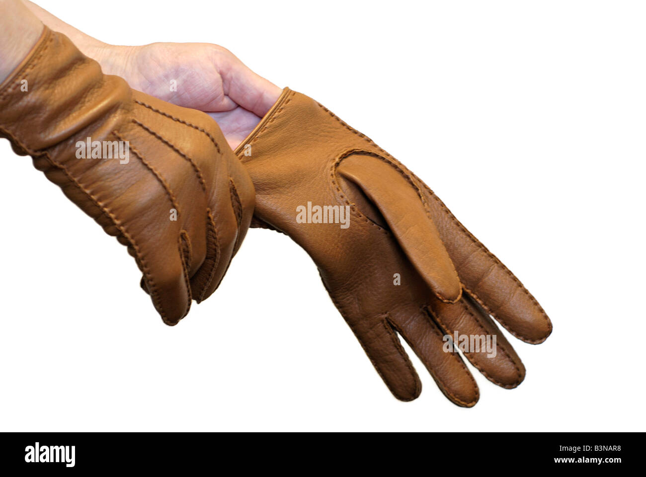 Lederhandschuhe anziehen Stockfoto