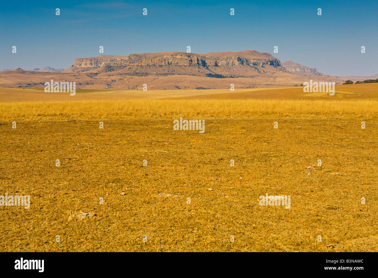 Die Drakensberge, KwaZulu-Natal, Südafrika Stockfoto