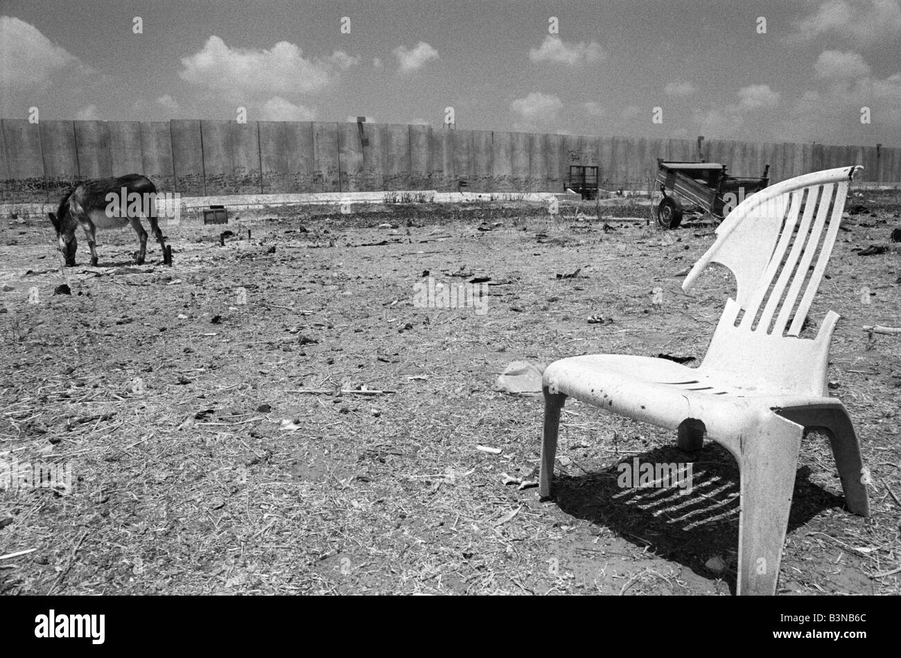 ein Landschaftsfoto von trockenen Bedingungen in der West Bank Stadt des Quaqilia mit einem Esel und einem gebrochenen Stuhl und die Trennmauer Stockfoto