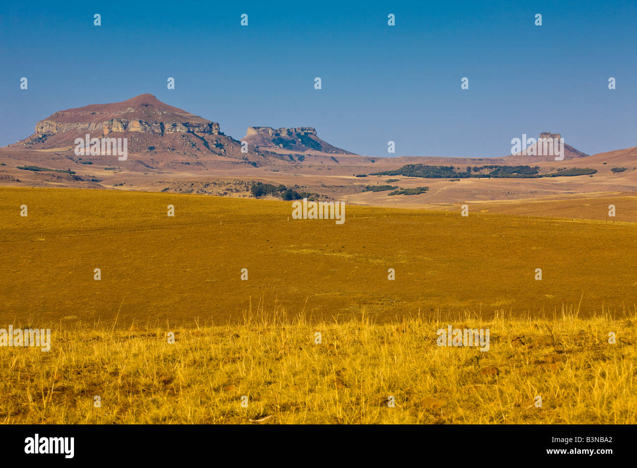Die Drakensberge, KwaZulu-Natal, Südafrika Stockfoto