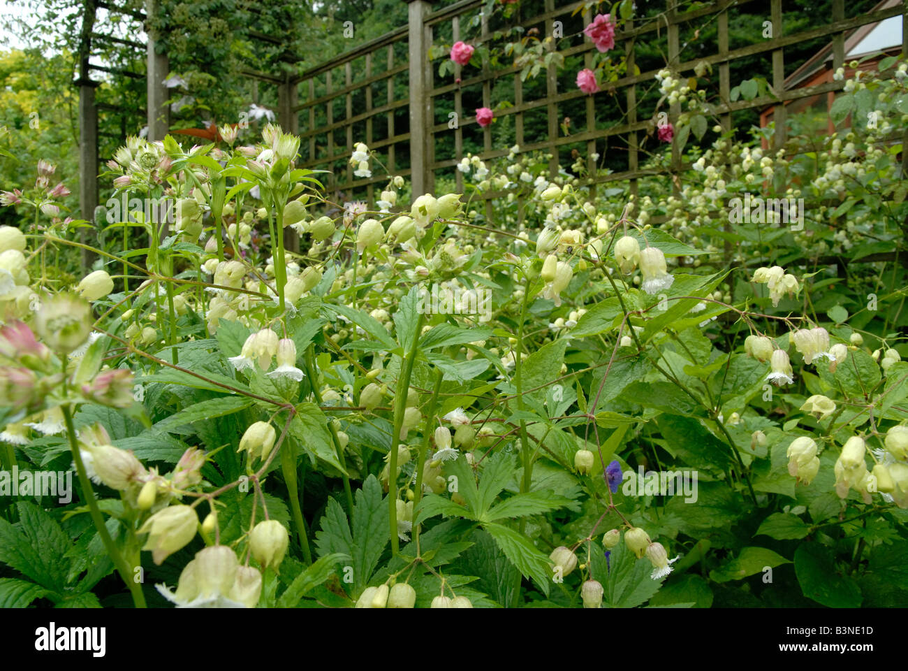 Barnsdale Gärten, Rutland Stockfoto