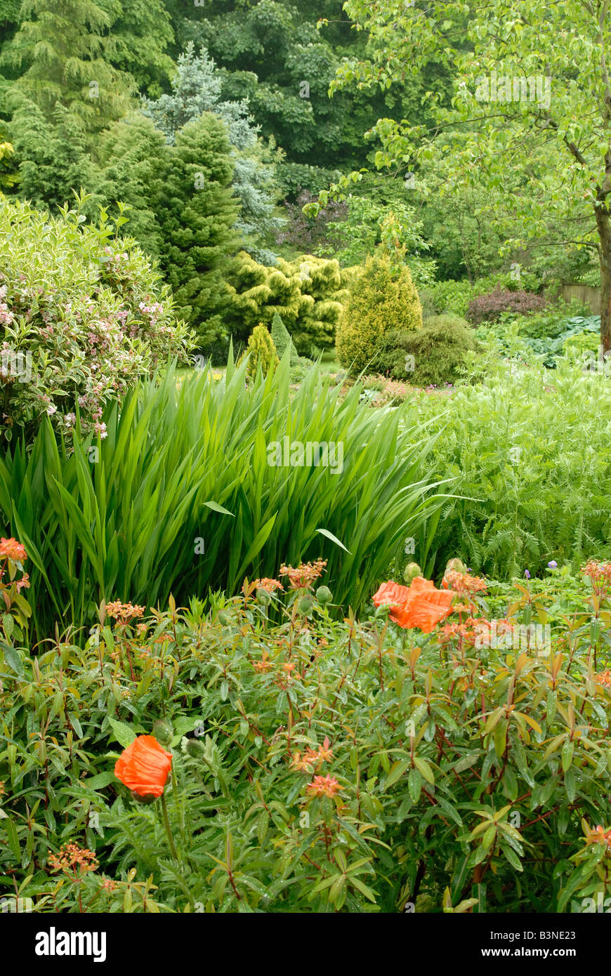 Barnsdale Gärten, Rutland, England Stockfoto