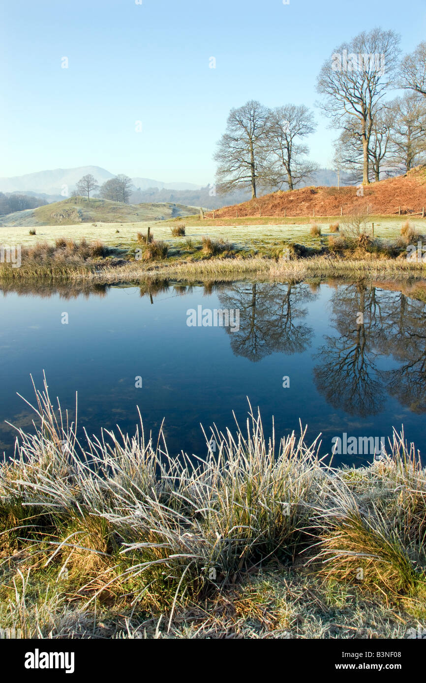 am frühen Morgen Reflexionen über den Fluß Brathay Elterwater mit Frost und blauer Himmel Stockfoto