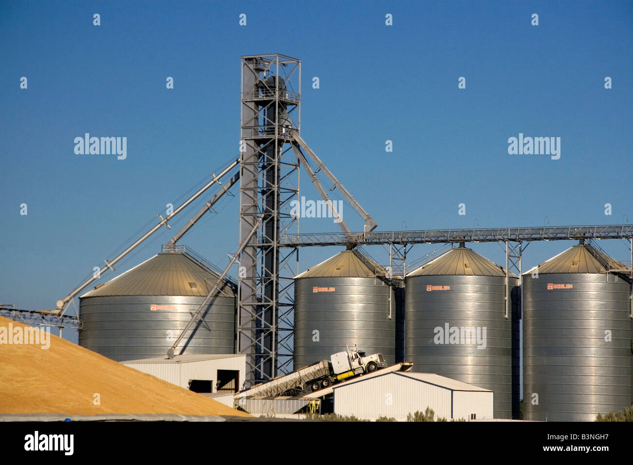 Geernteter Weizen und Getreidesilos in Pasco, Washington Stockfoto