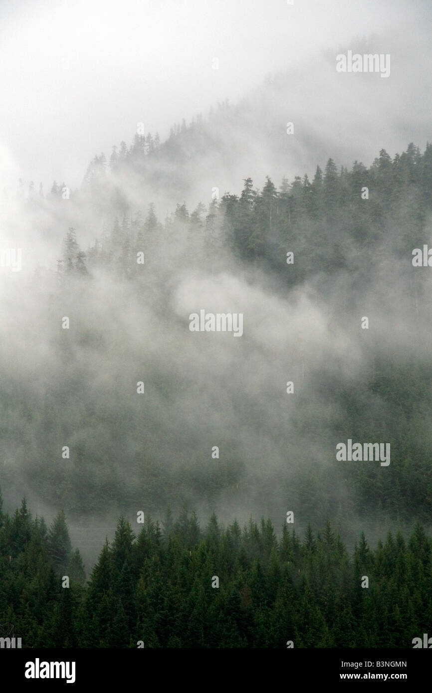 Nebel und Dunst bedecken die Kaskade-Strecke in der Nähe von Snoqualmie Pass in Washington Stockfoto