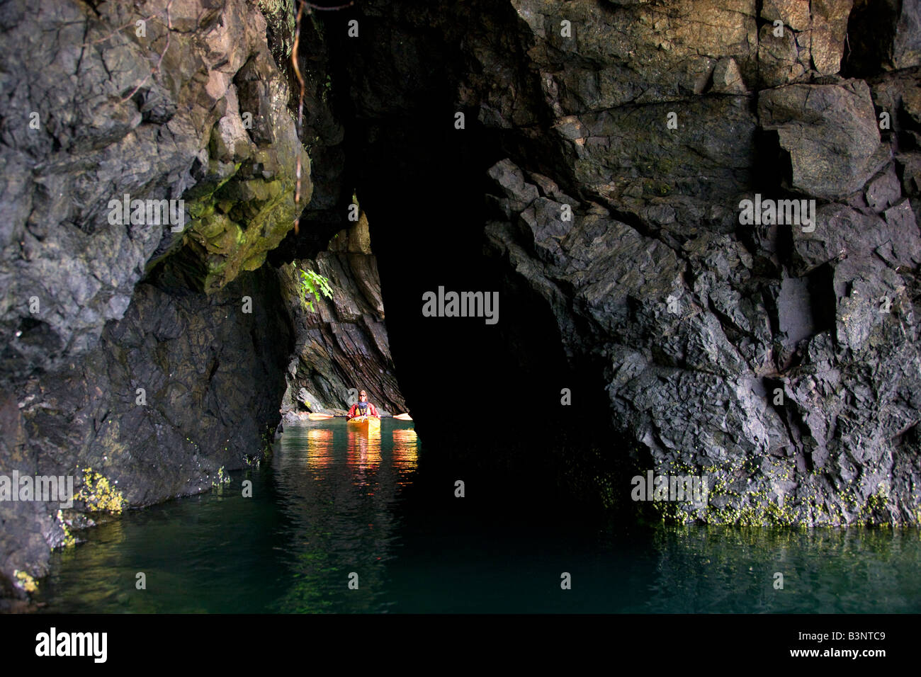 Kajak Kachemak Bay State Park Halibut Cove Kachemak Bay in der Nähe von Homer Alaska Modell veröffentlicht Stockfoto