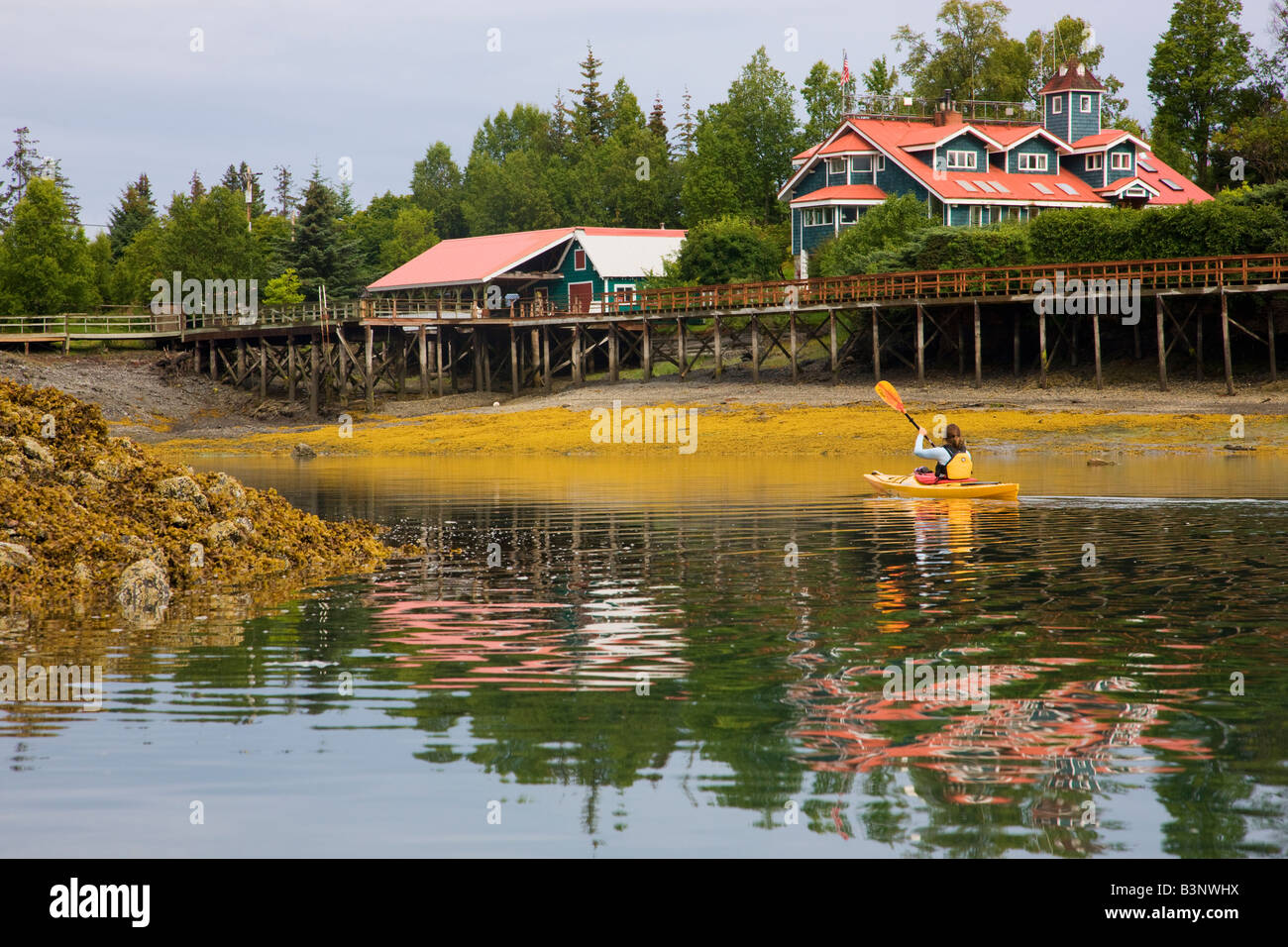 Kajakfahren in Halibut Cove Kachemak Bay in der Nähe von Homer Alaska Modell veröffentlicht Stockfoto