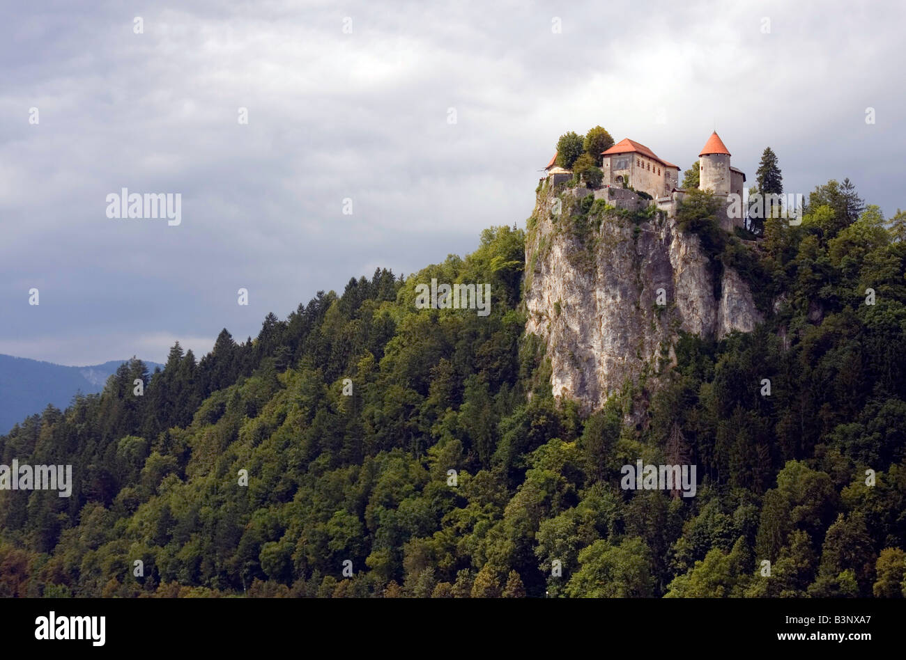 Bled Burg auf der Klippe. Stockfoto