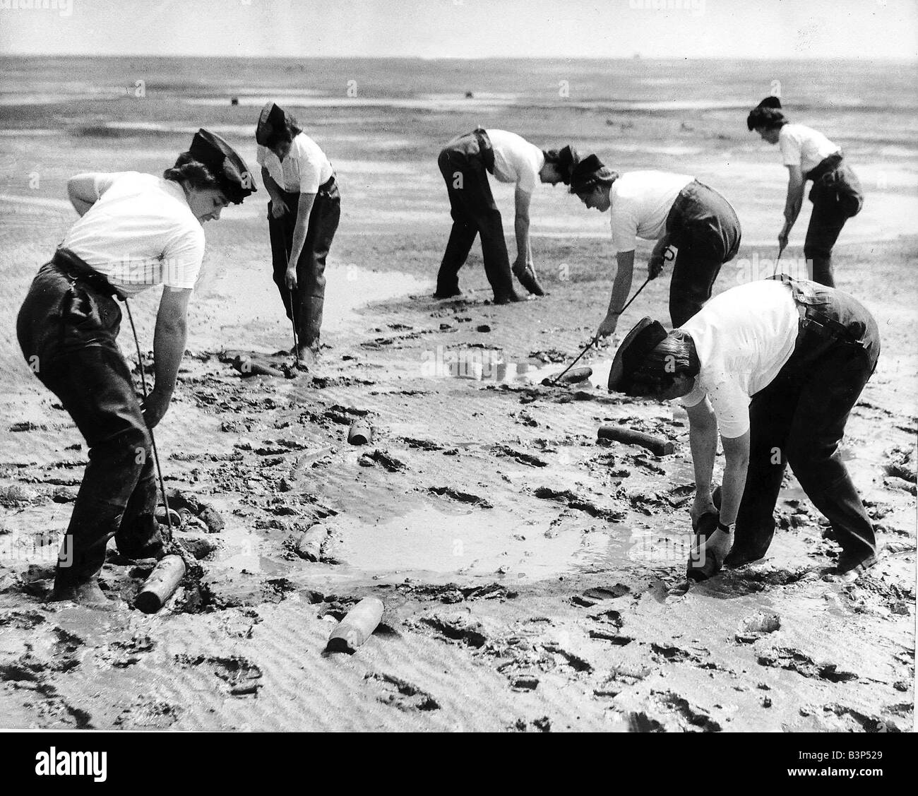 Station des Ministeriums liefern 1942 Mädchen aus verschiedenen Abschnitten des Auxillary territorialen Service sammeln verbracht Muscheln in einem experimentellen Betrieb des Ministry of Supply Stockfoto