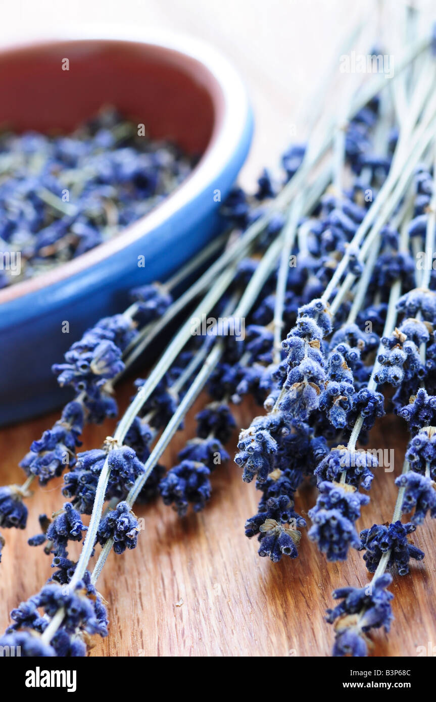 Jede Menge getrockneter Lavendel Kräuter und Lavendelblüten in eine Schüssel geben Stockfoto