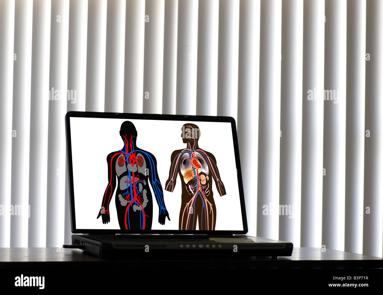 Computer generierte Bild der menschlichen Blutkreislauf auf laptop Stockfoto