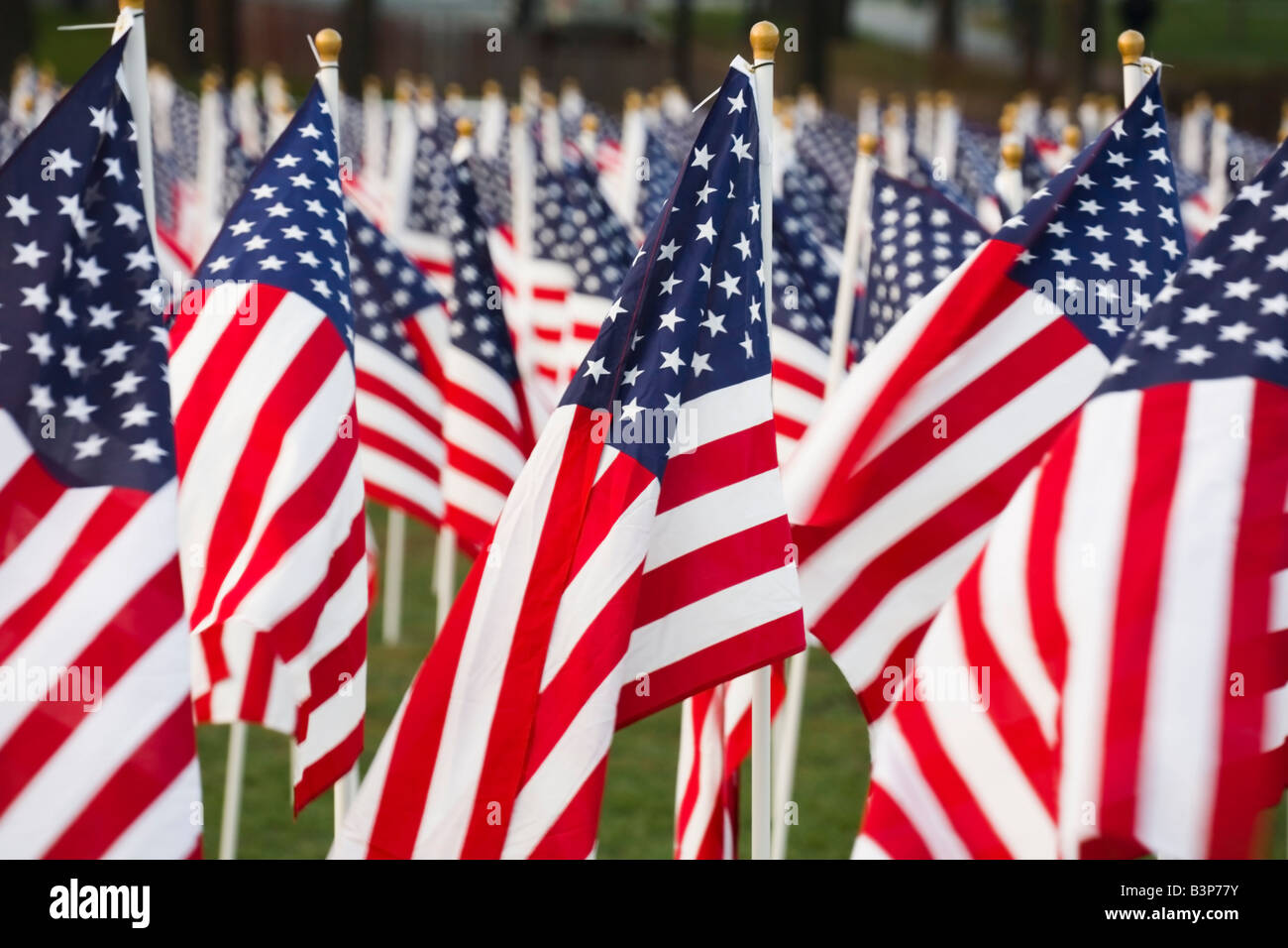 Nahaufnahme von Sternen und Streifen Flags in einem park Stockfoto