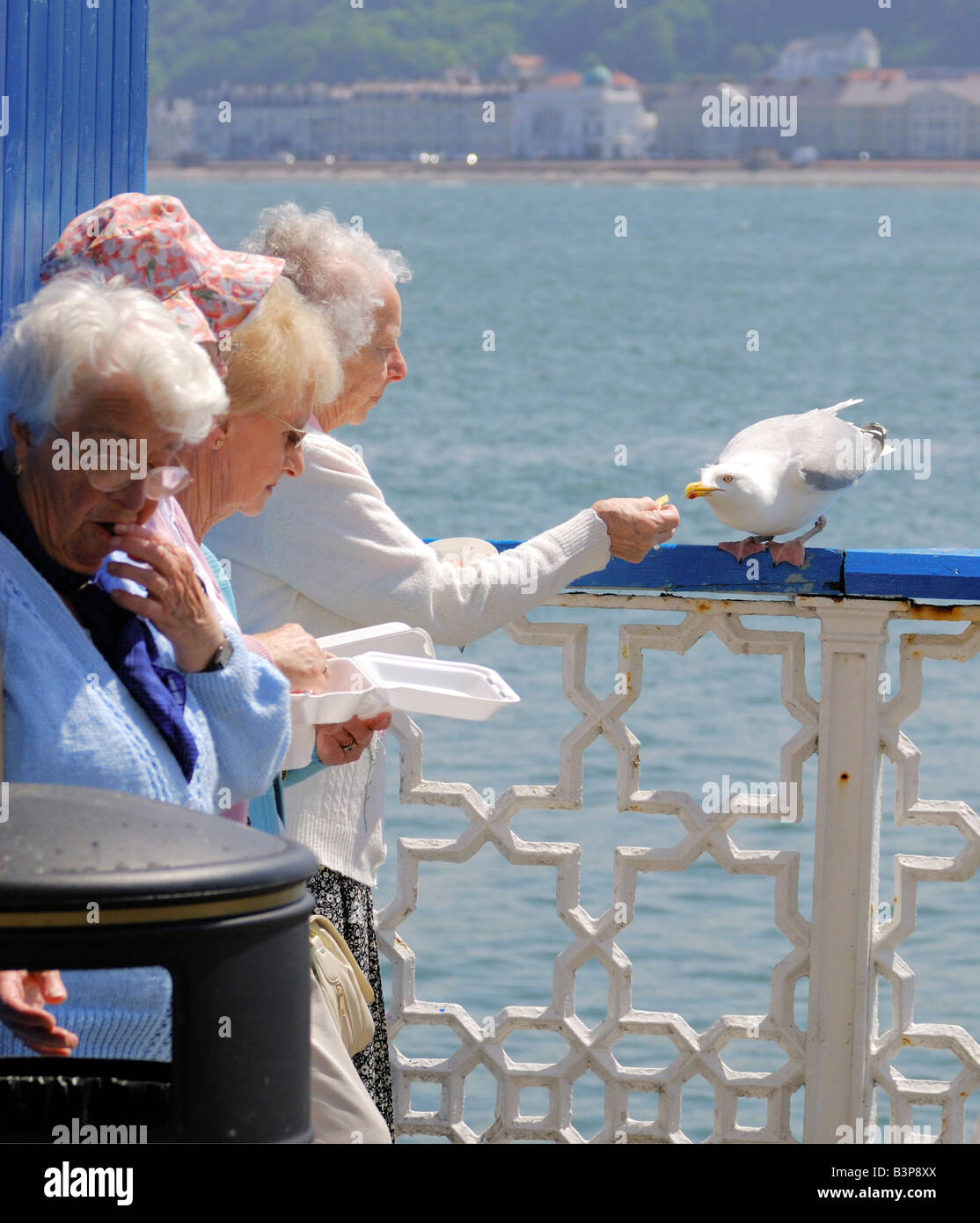 Vier weibliche Rentner, Essen zum Mitnehmen Fish &amp; Chips auf Llandudno Pier in Nord-Wales an einem sonnigen Tag Stockfoto