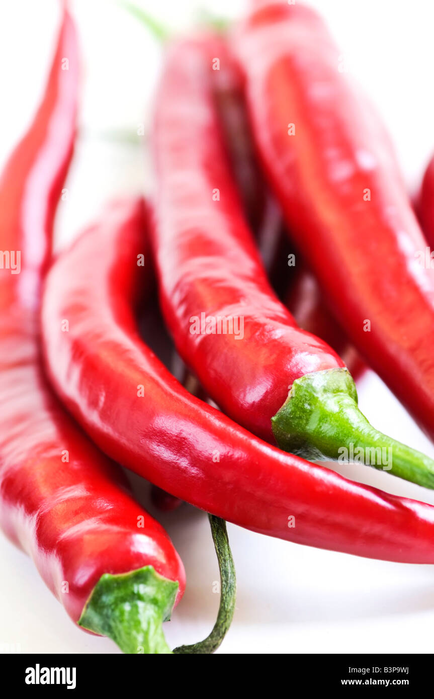 Rosenstrauss rot-heiße Paprika auf weißem Hintergrund hautnah Stockfoto