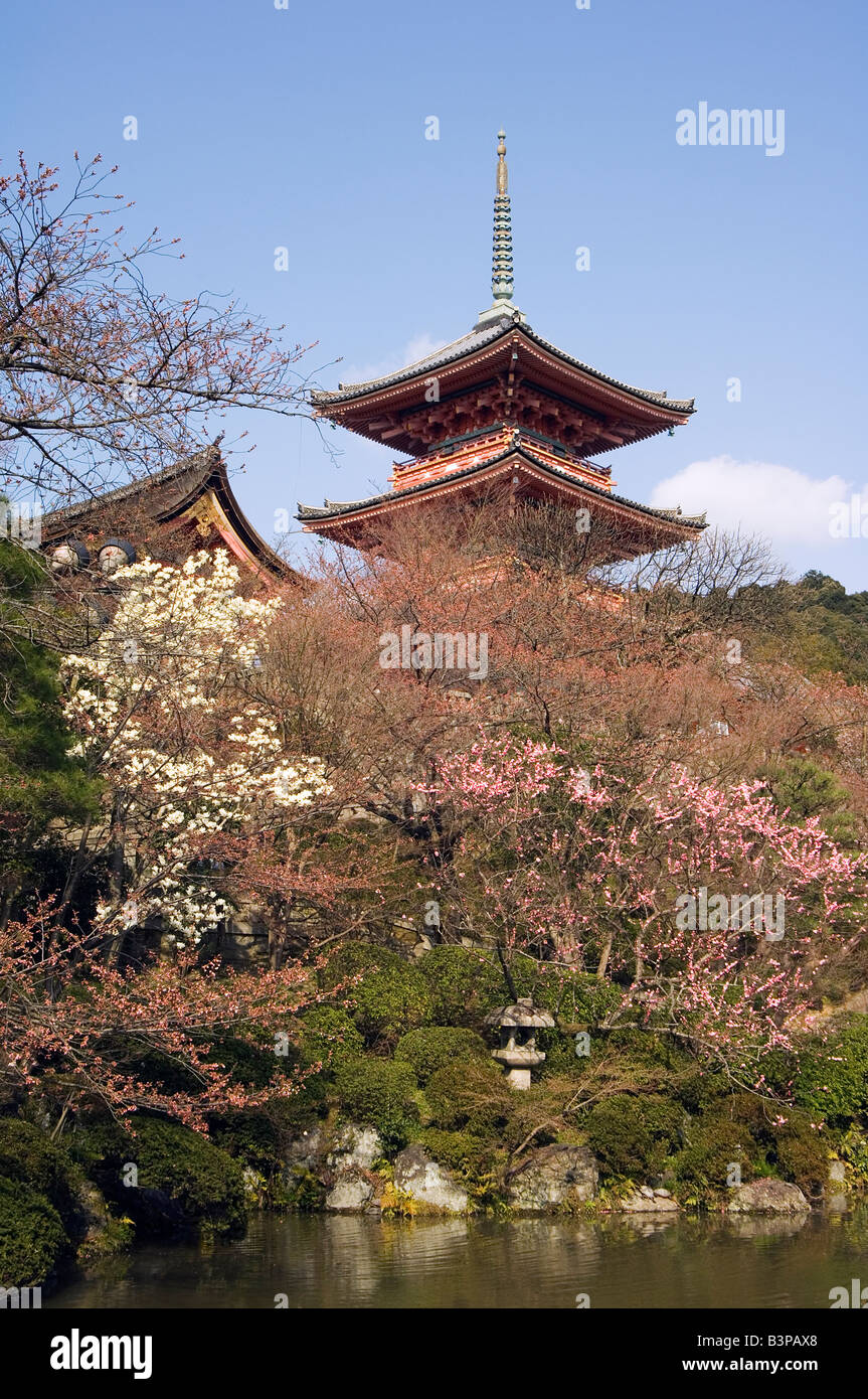 Japan, Kyoto, Kiyomizudera Tempel, rote Pagode, Frühling Kirschbäume um Teich Stockfoto