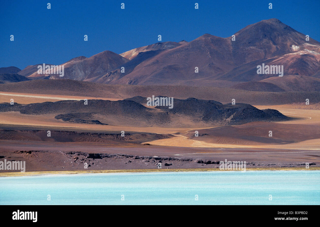 Türkisblauem Wasser der Laguna Tuyajto, Atacama, Chile. Stockfoto