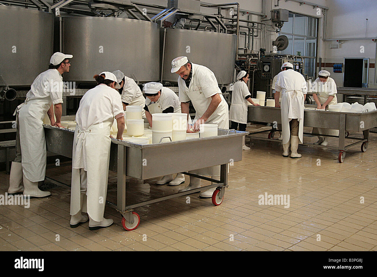 Pecorino Käse Zubereitung, Il Fiorino Käse Hersteller, Roccalbegna, Monte Amiata und Umgebung, Toskana, Italien Stockfoto