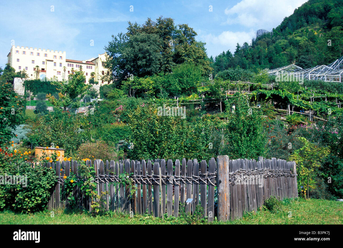 Weinberg, Schloss Trauttmansdorff, Meran, Trentino Alto Adige, Italien Stockfoto