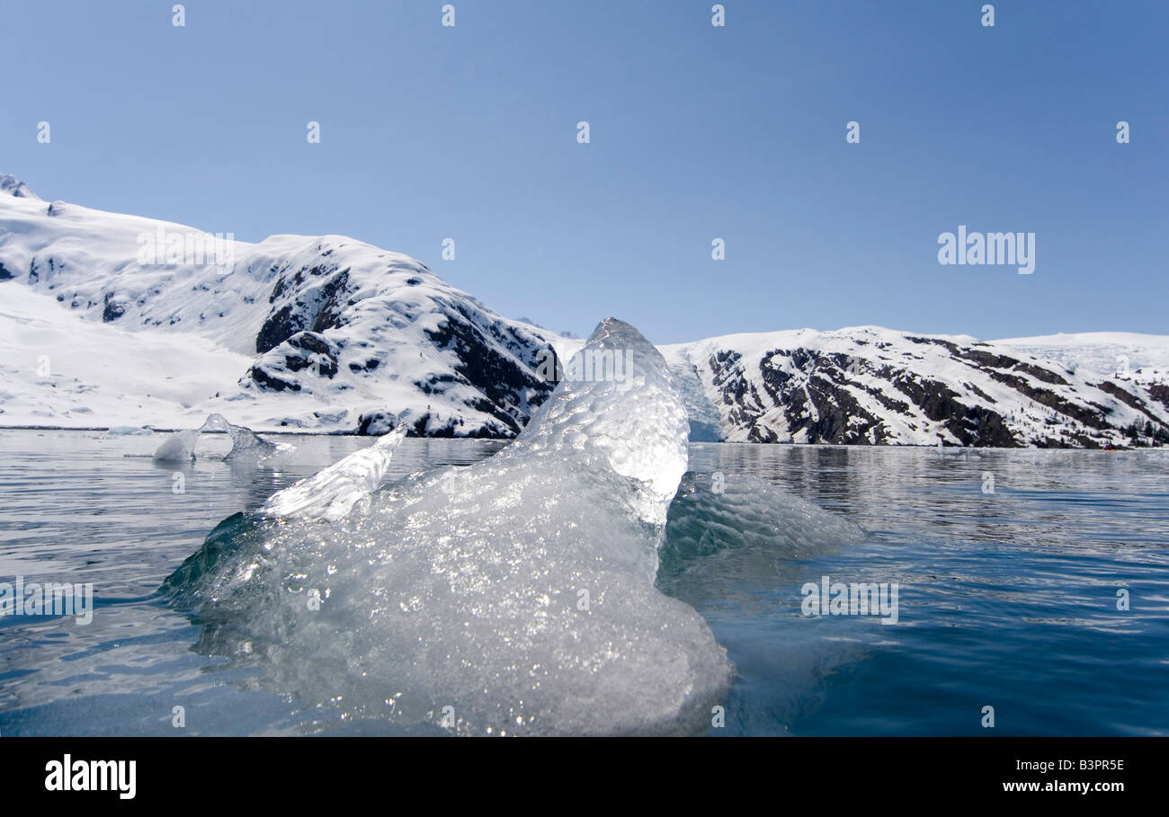 Schmelzen, driften Eisblock, Beloit Gletscher, Blackstone Bay, Pacific Coast, Prince William Sound, Alaska, USA Stockfoto