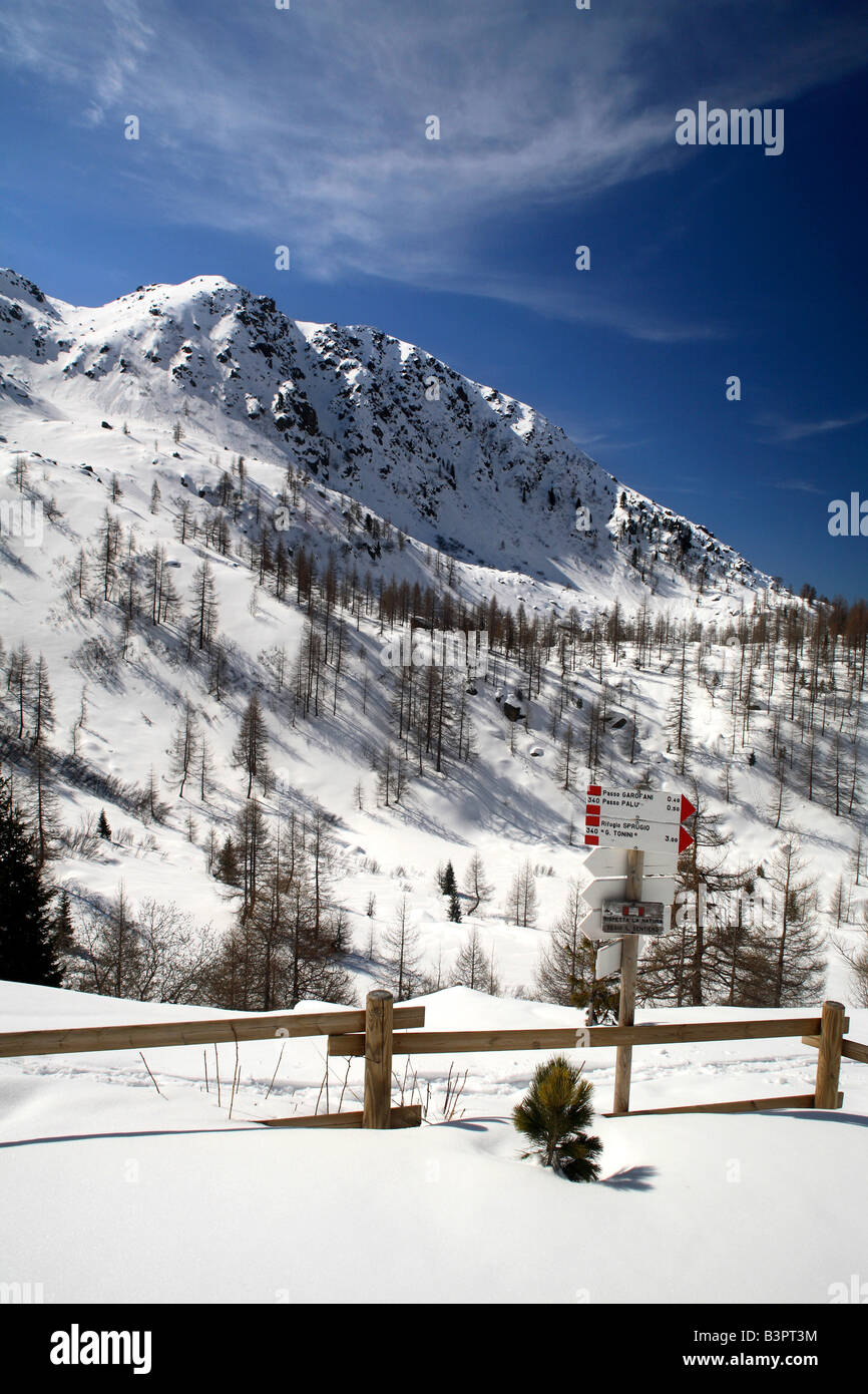 Skifahren in der Nähe von Sette Selle Alphütte, Palu' Del Fersina, Valle dei Mocheni, Trentino Alto Adige, Italien Stockfoto