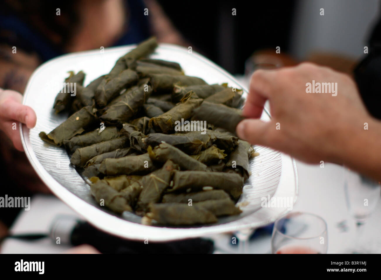 Griechische dolmades Stockfotos und -bilder Kaufen - Alamy Griechische dolmades Stockfotos und -bilder Kaufen - Alamy