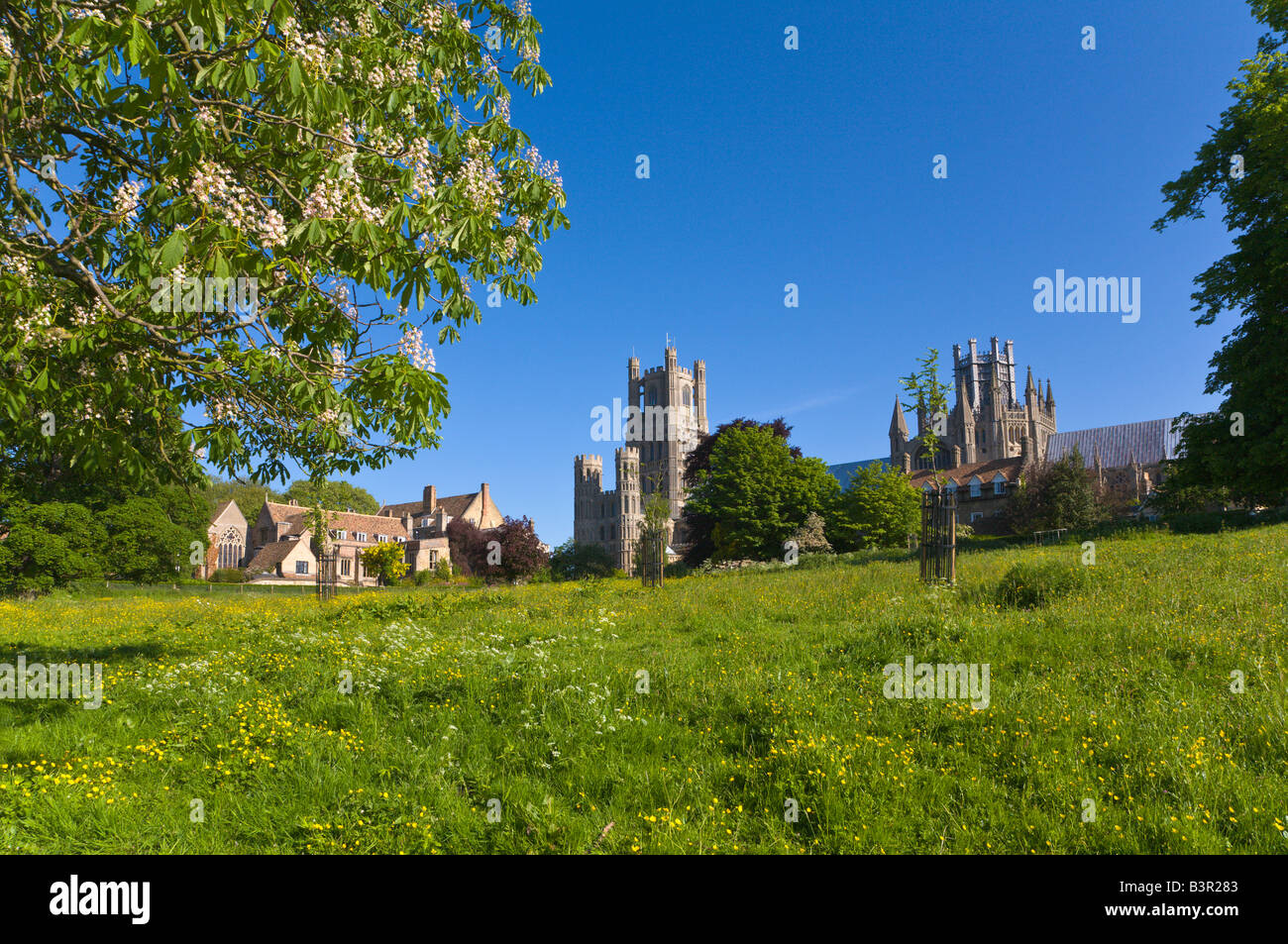 Kathedrale, Ely, Cambridgeshire, England Stockfoto