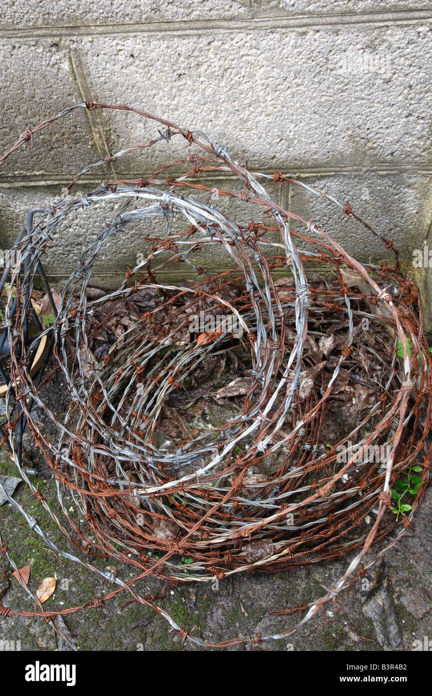 Stacheldraht aufgerollt gedumpten ungenutzt. Stockfoto