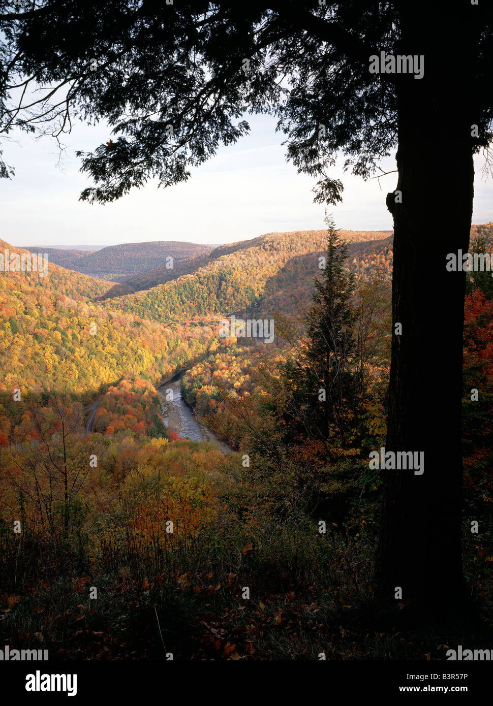 HERBSTLICHE ANSICHT VON LOYALSOCK CREEK CANYON VISTA OVERLOOK, WORLDS END STATE PARK, POCONO MOUNTAINS, PENNSYLVANIA, USA Stockfoto