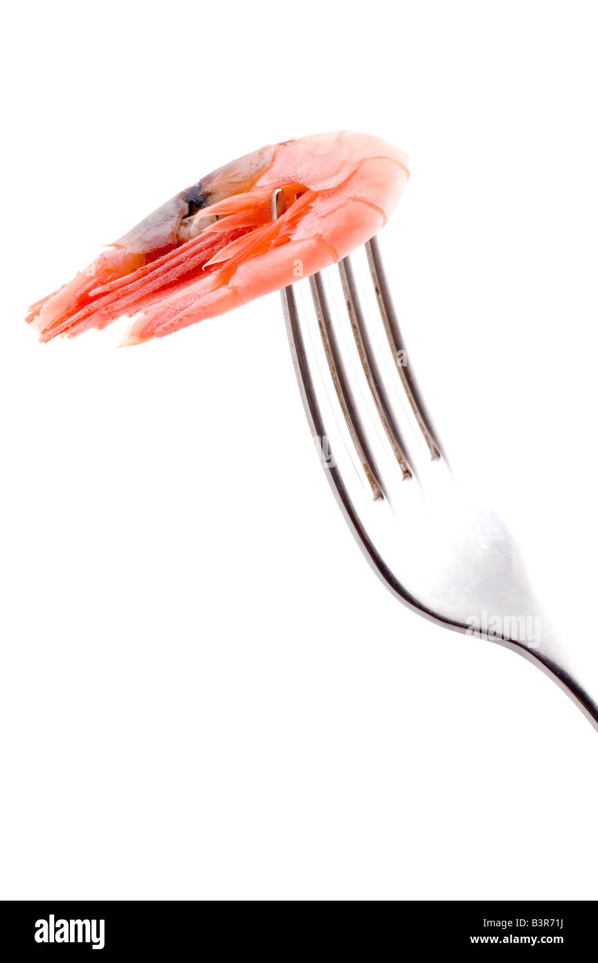 Objekt auf weißen essen Garnelen auf Gabel Stockfoto
