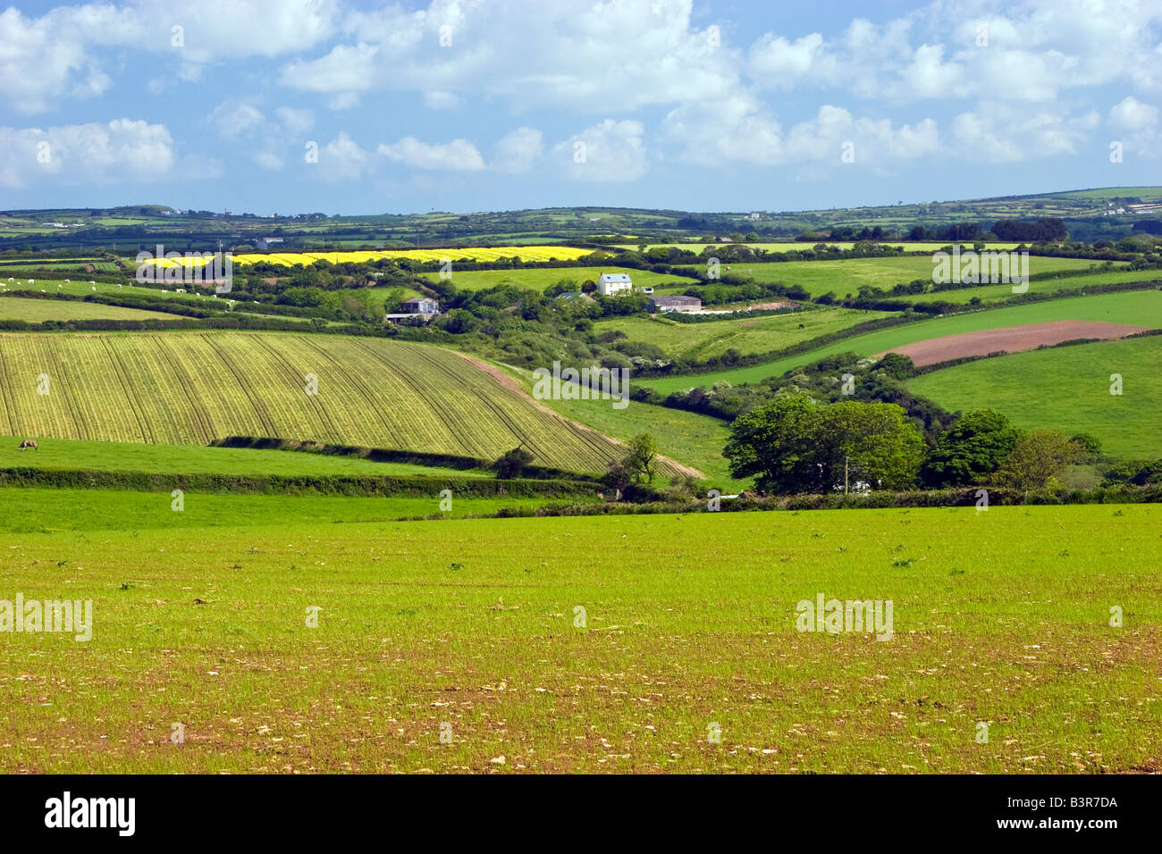 Kornische Landschaft in der Nähe von Gweek, Cornwall, Großbritannien UK 2008 Stockfoto