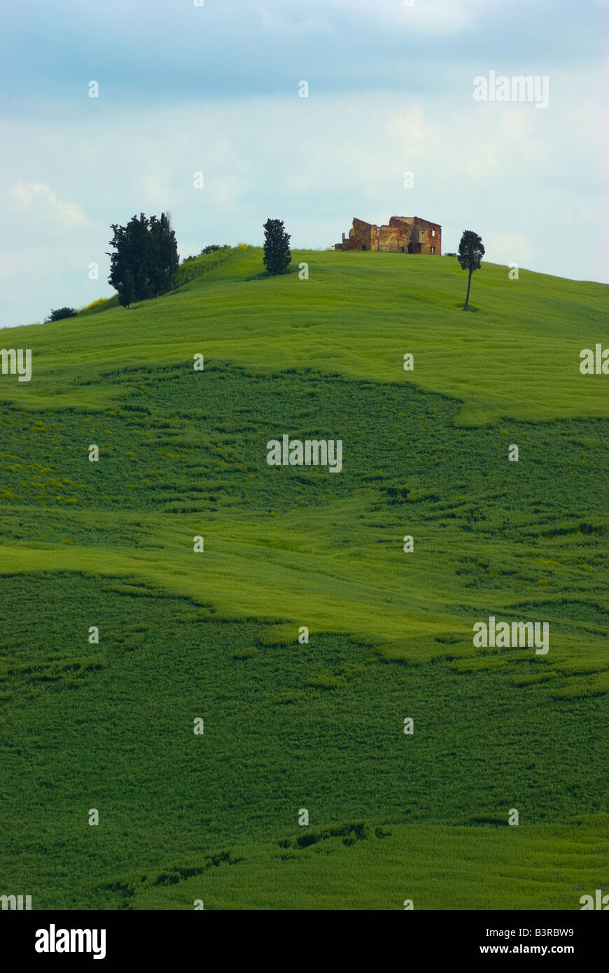 Landschaft in der Toskana, Italien Stockfoto