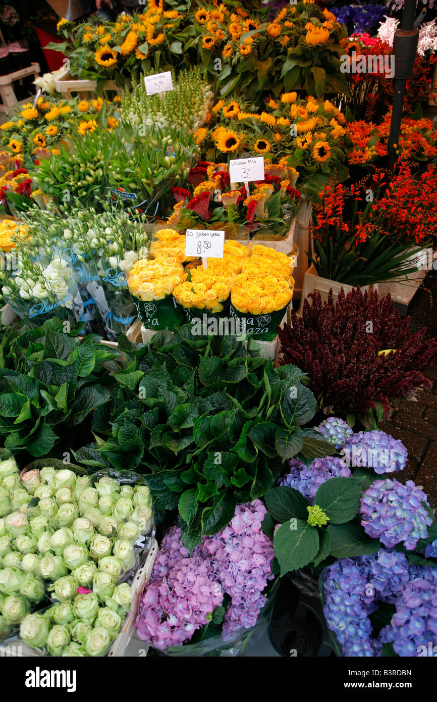 Blumenmarkt, Amsterdam, Niederlande Stockfoto