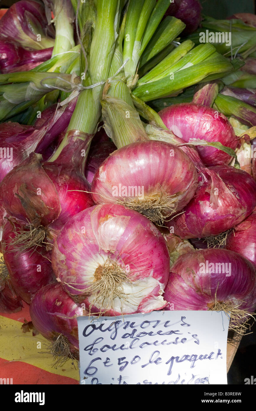 Rote Zwiebeln angeboten an einem Marktstand in Céret in Südfrankreich Stockfoto