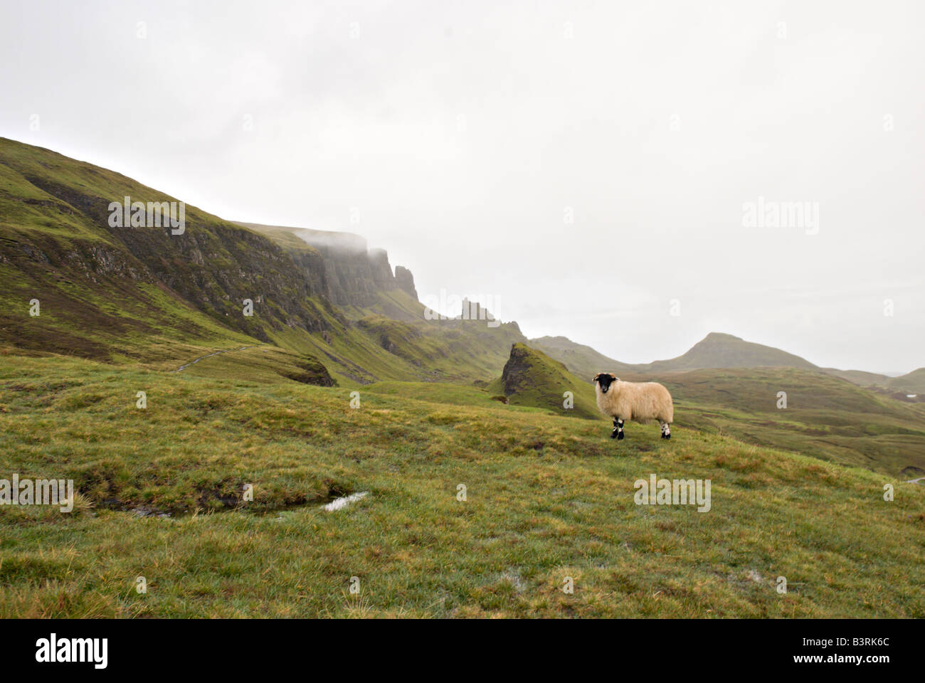 Felsformation Trotternish Halbinsel Isle Of Skye Schottland Stockfoto