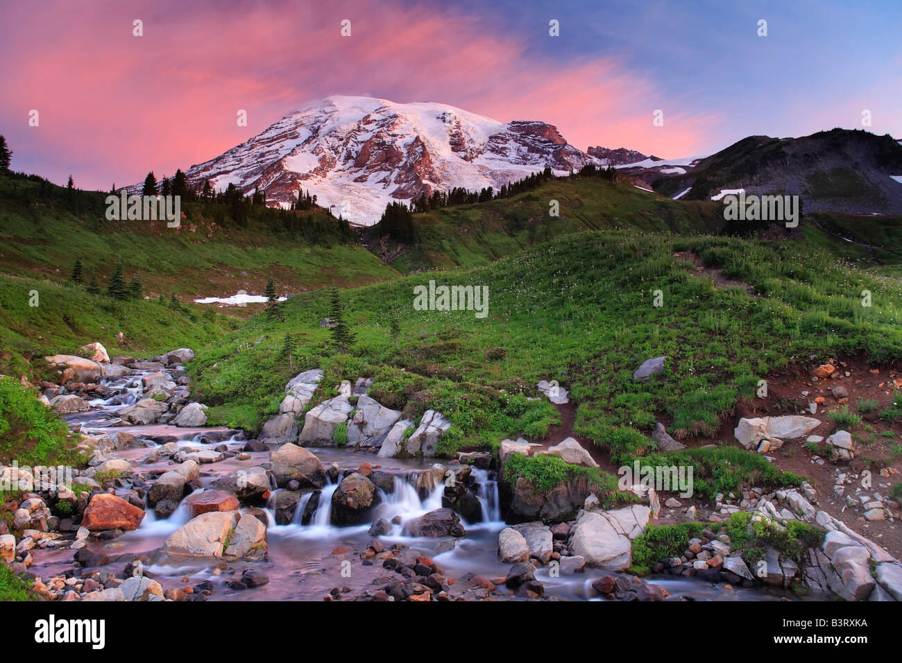 Mount Rainier und Edith Creek, Washington, USA Stockfoto