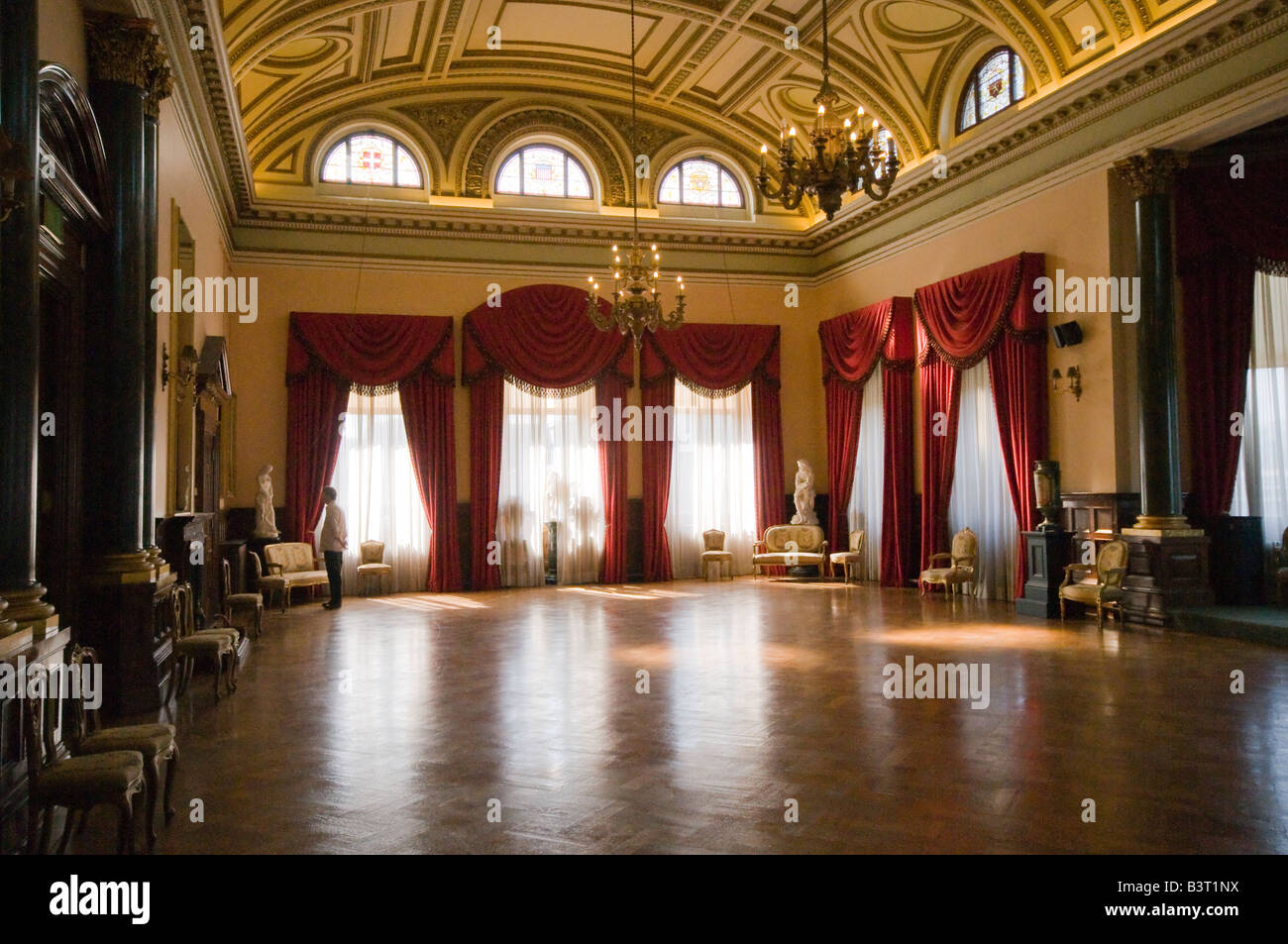 Graue Eichhörnchen liegt tot auf der Straße Stockfoto