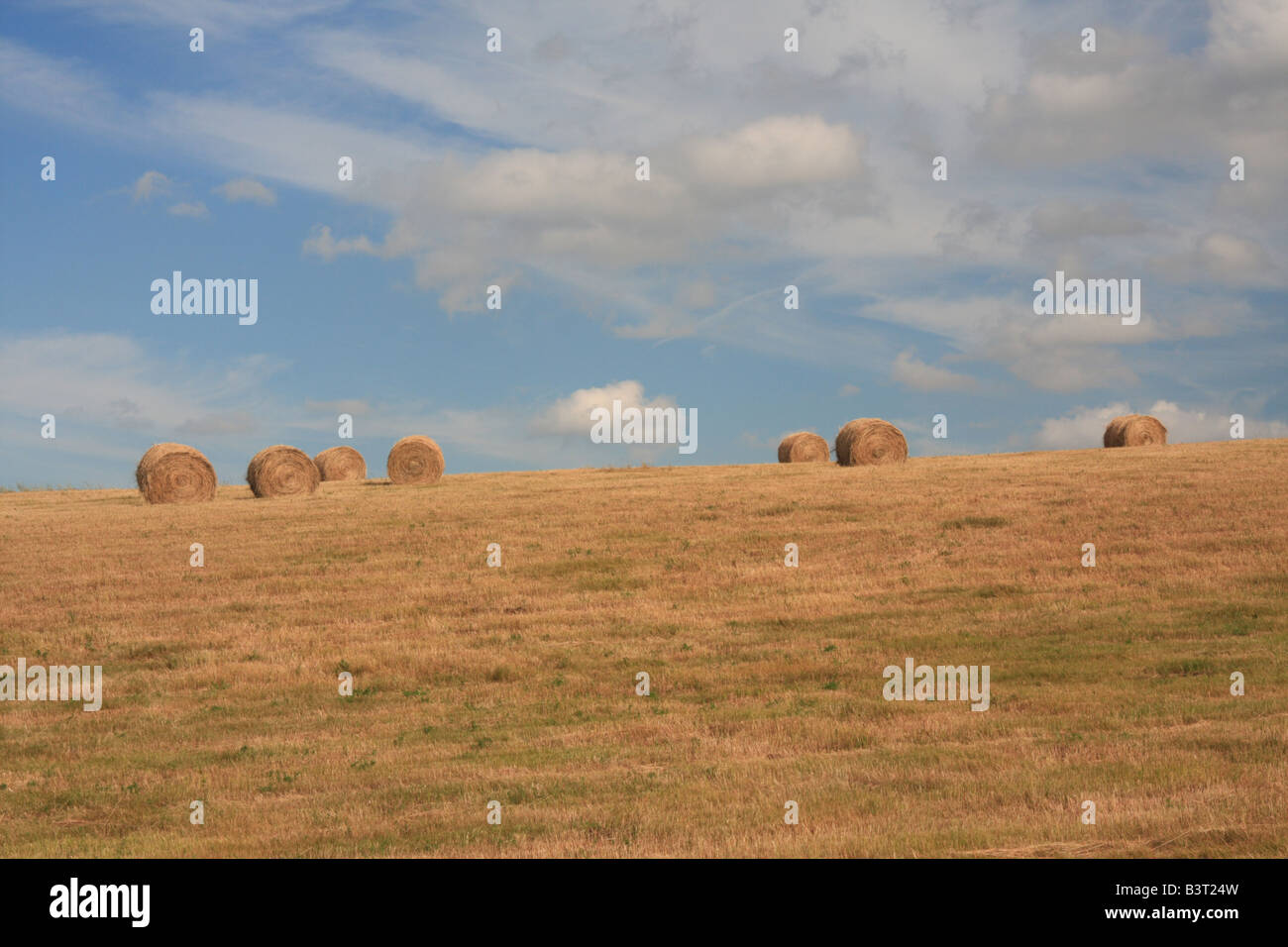 Heuballen auf Ackerland östlich von Calgary, Alberta Stockfoto