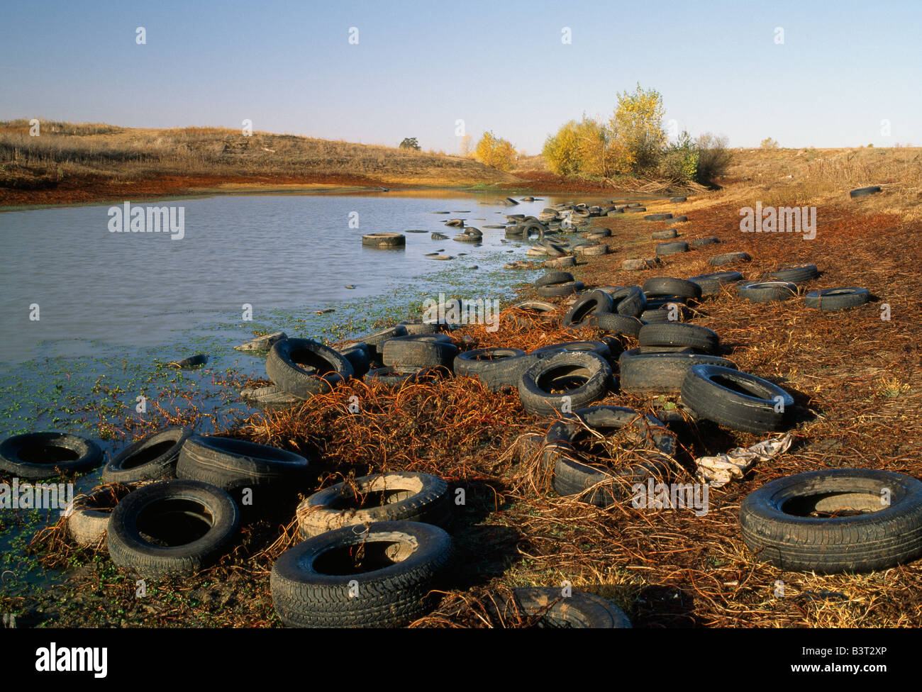 Gebrauchte Reifen in Teich geworfen verworfen. Stockfoto