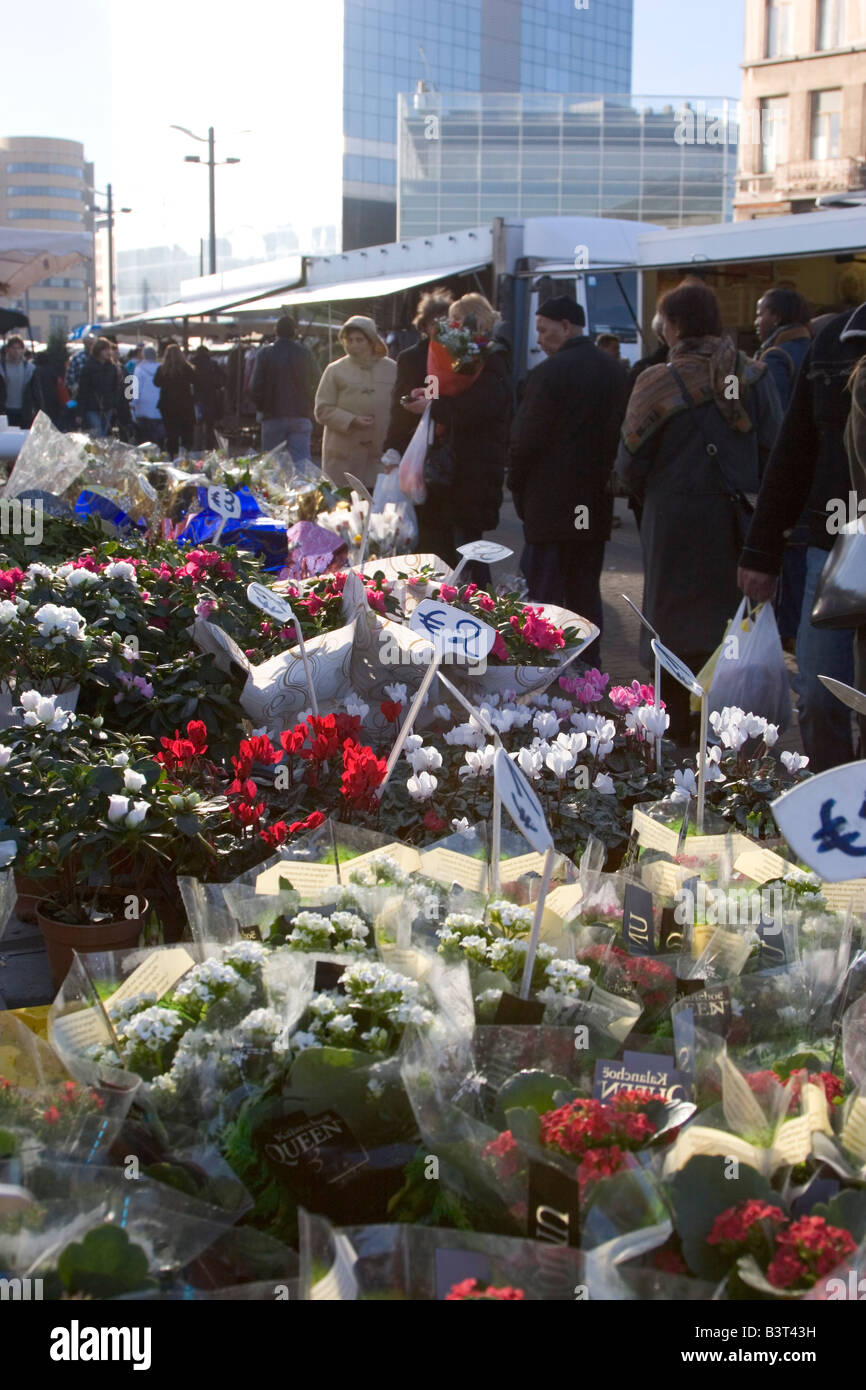 Ein hellen Morgen um MIDI-Markt, einem von Europas größten Märkte unter freiem Himmel statt jeden Sonntag in der Nähe von Gare du Midi in Brüssel Belgien Stockfoto