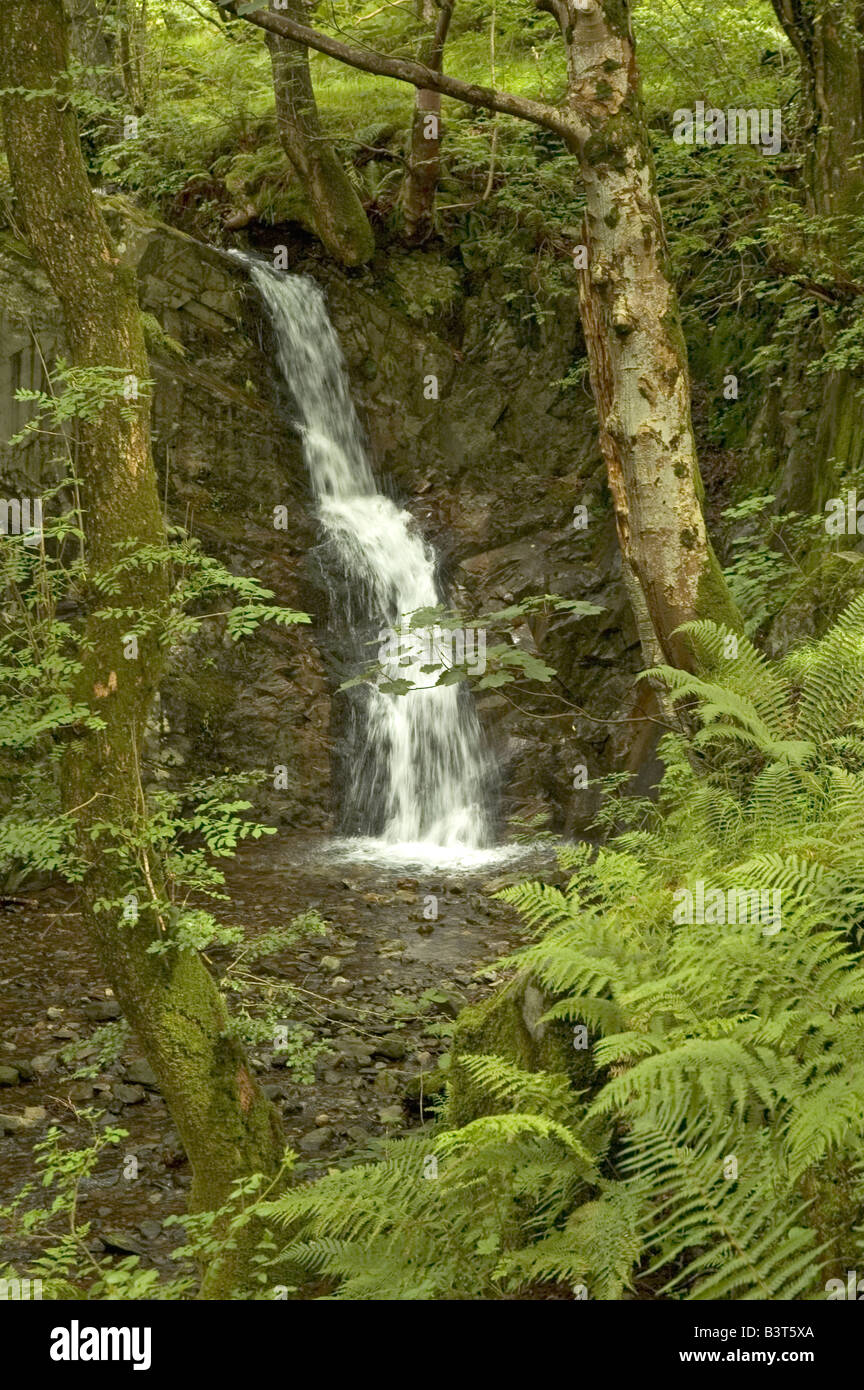 Wasserfall in der Nähe von Nab Narbe Stockfoto