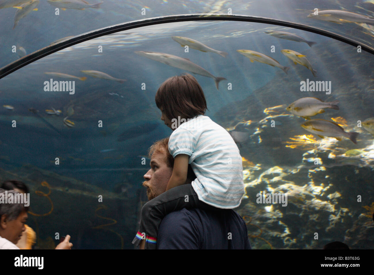 Besucher in den gläsernen Tunnel. National Museum of Marine Biology und Aquarium, Checheng, Pingtung, Taiwan Stockfoto