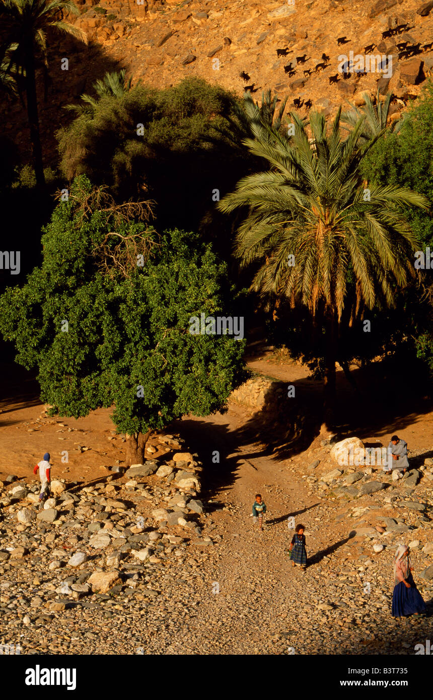 Marokko, Anti-Atlas-Gebirge, Amtoudi. Kinder und Ziegen im Amtoudi village Stockfoto