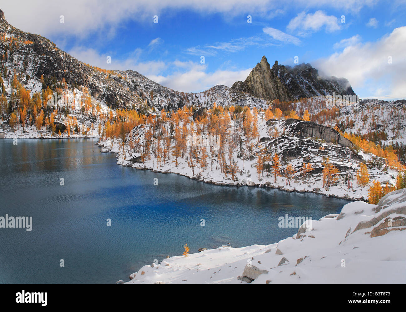 Berg-Lärchen Prusik Höhepunkt Stockfoto