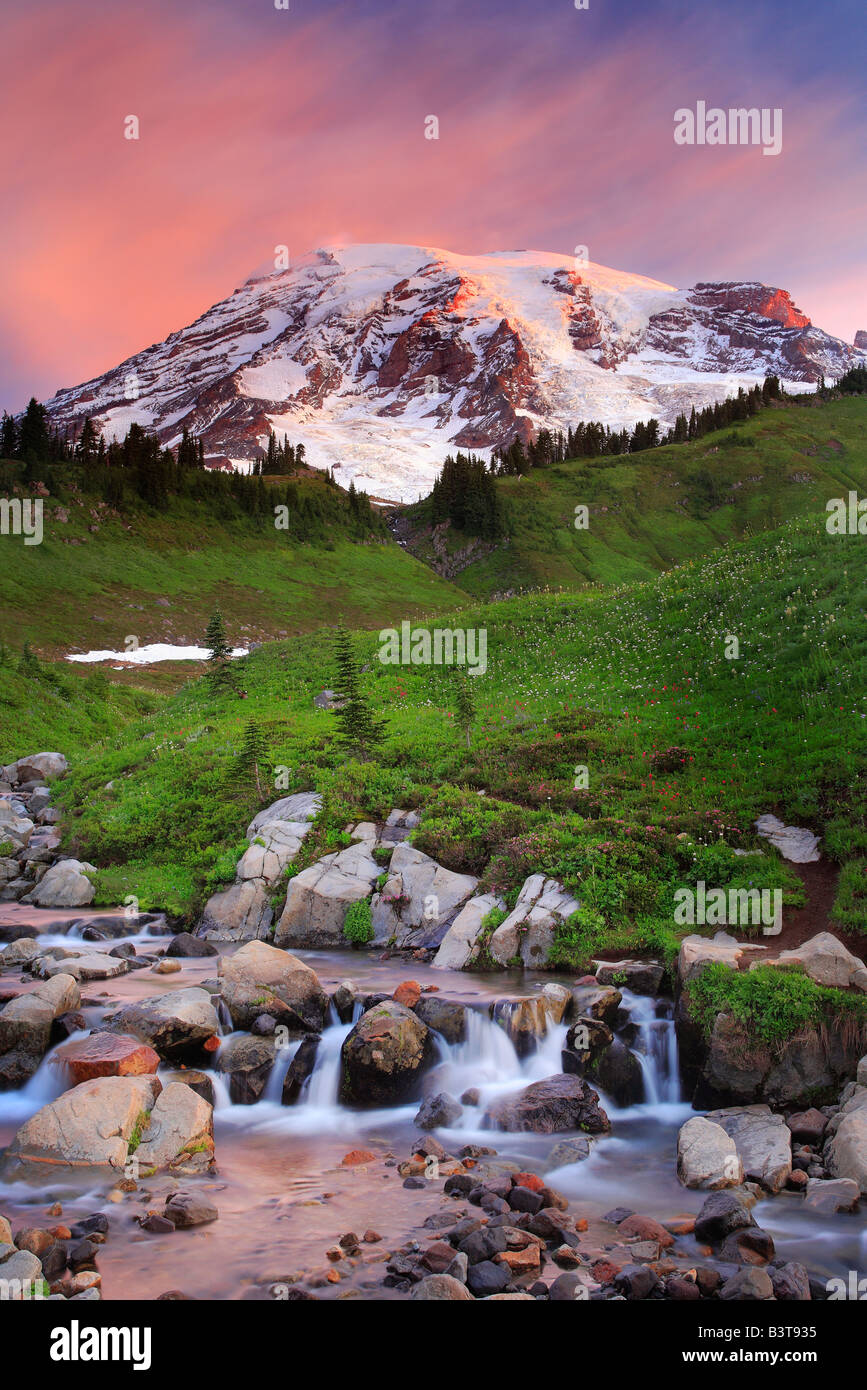 Mount Rainier und Edith Creek, Washington, USA Stockfoto