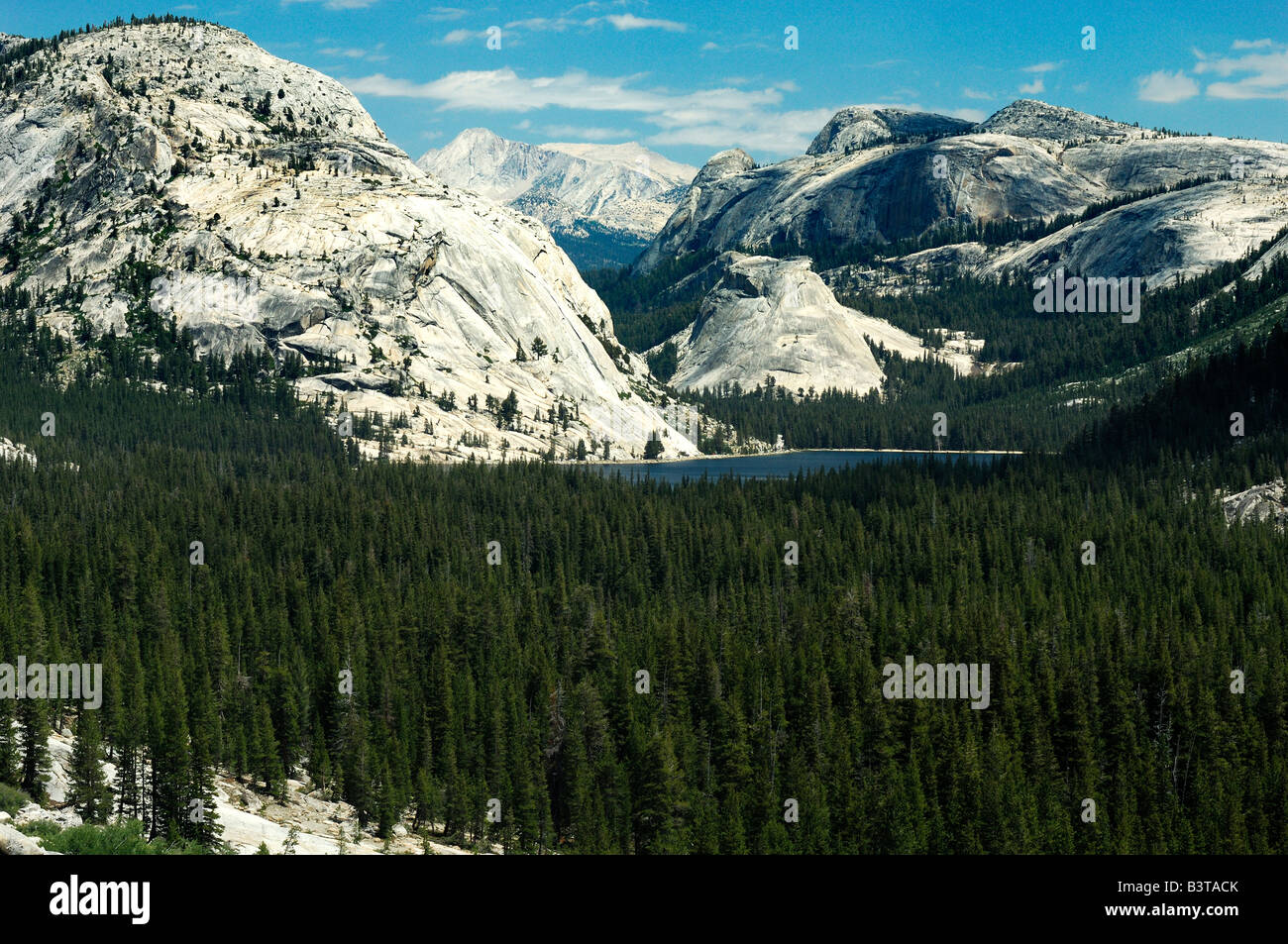 USA Kalifornien Yosemite National Park Tioga Pass Stockfoto