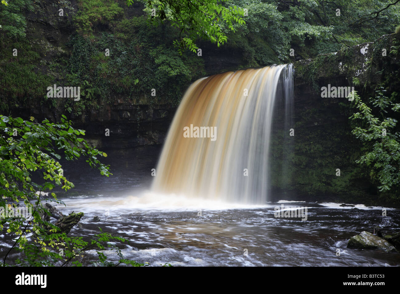 Sgwd Gwladus Pontneddfechan Wales UK Stockfoto