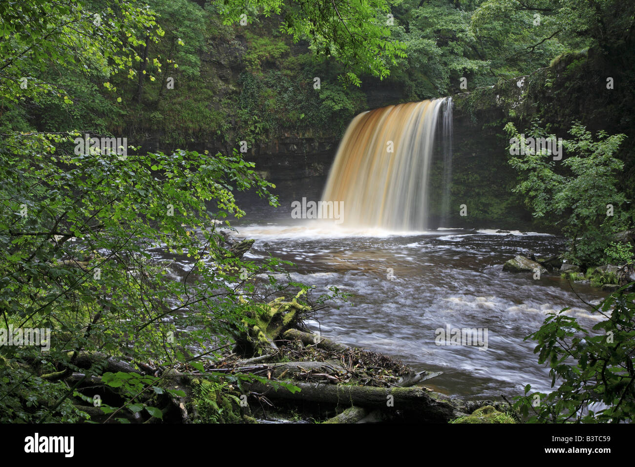 Sgwd Gwladus Pontneddfechan Wales UK Stockfoto