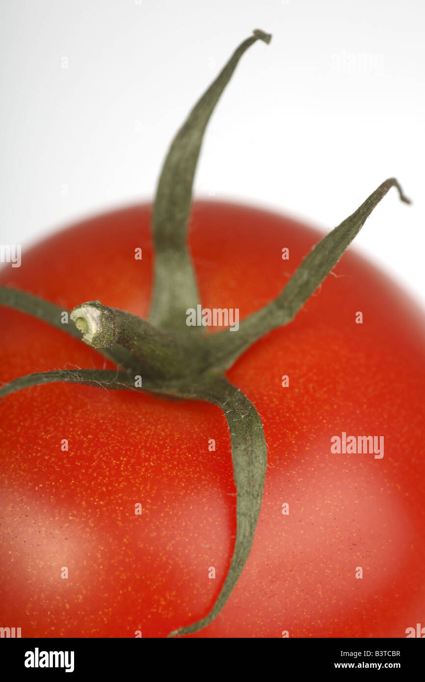 Tomaten Stockfoto